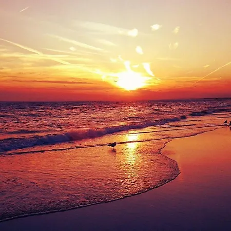 Harmony 1 Mamaia Sat Navodari