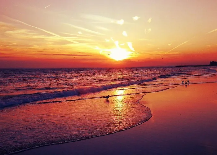 Harmony 1 Mamaia Sat Navodari